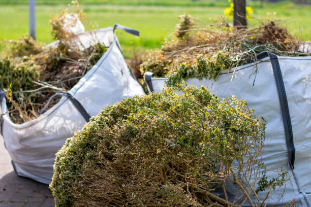 Best Scrap Metal Removal  in Ladue, MO